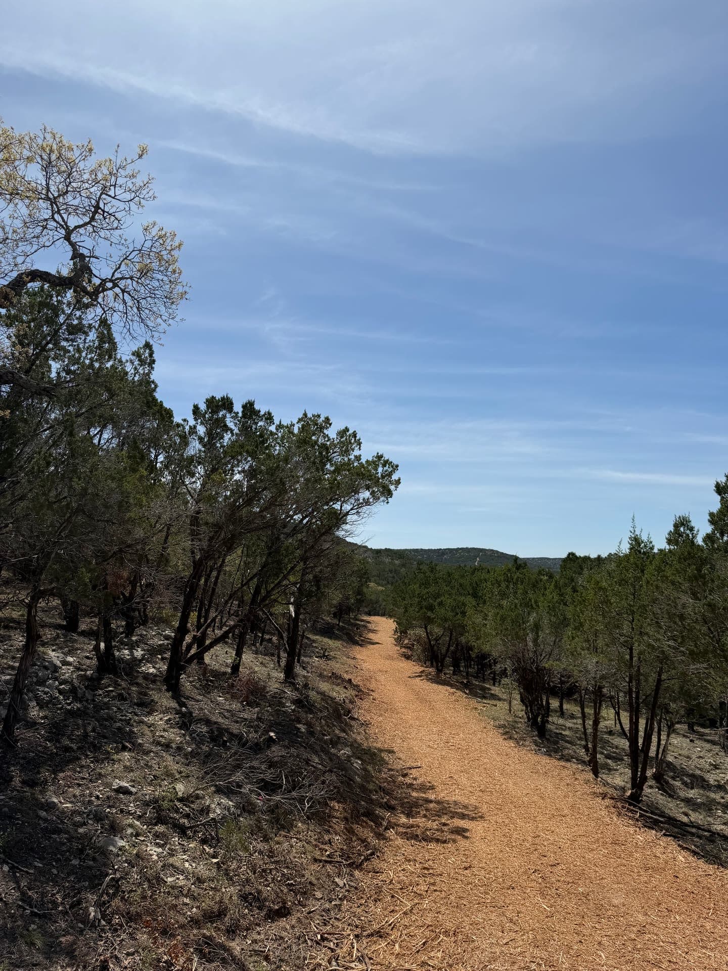 Fence Line Clearing