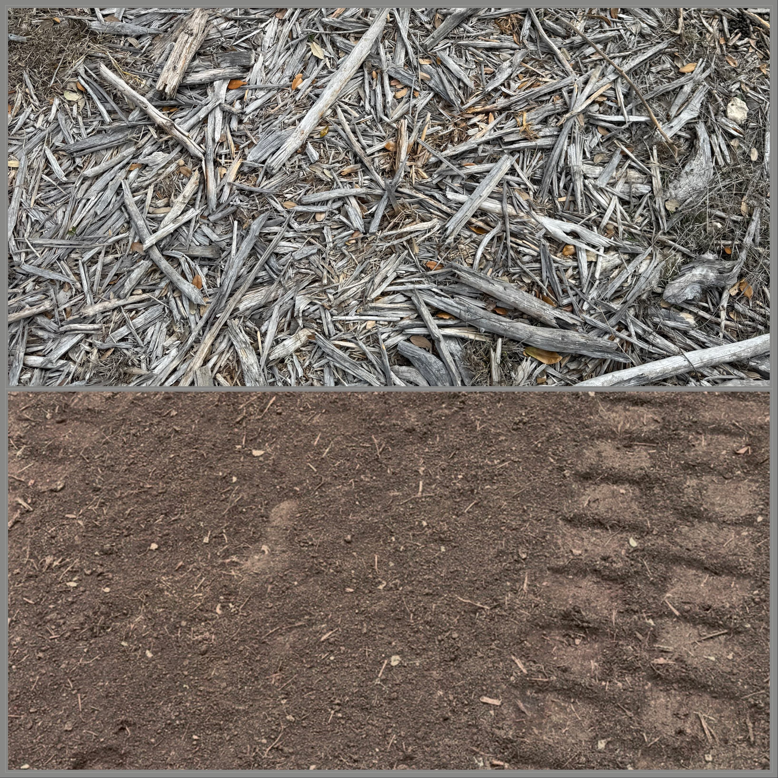 Forestry Mulching Cleanup