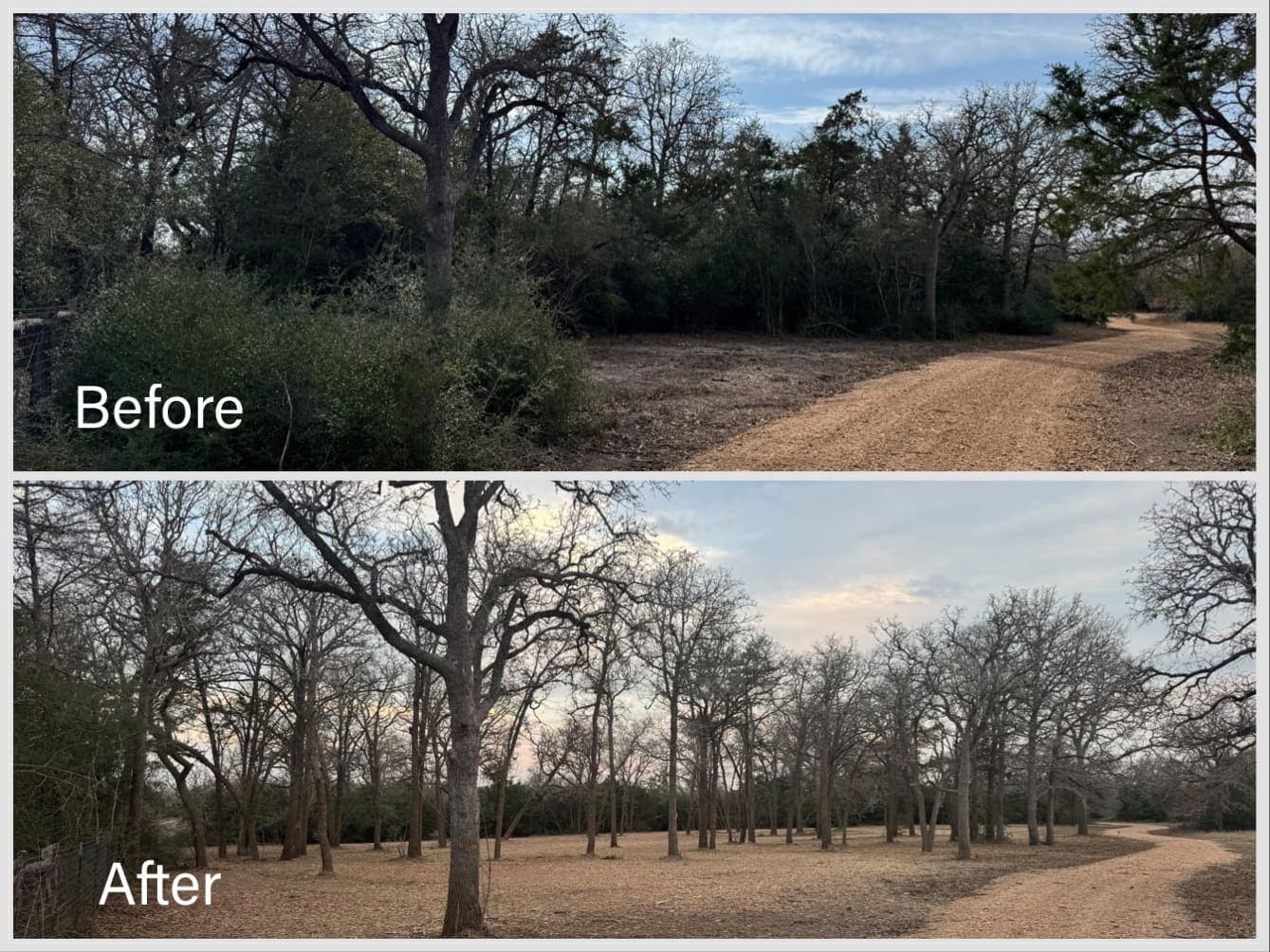Grounded Land Services project 2